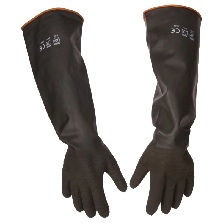 6231003_H.jpg
