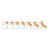 Frezy CMT 937 - promienie R 4,75-19