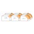 Zestaw CMT 838 - promienie R 6,35, 9,5, 12,7