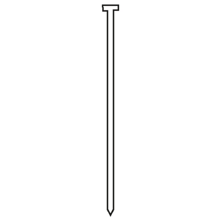 2405540_H.jpg