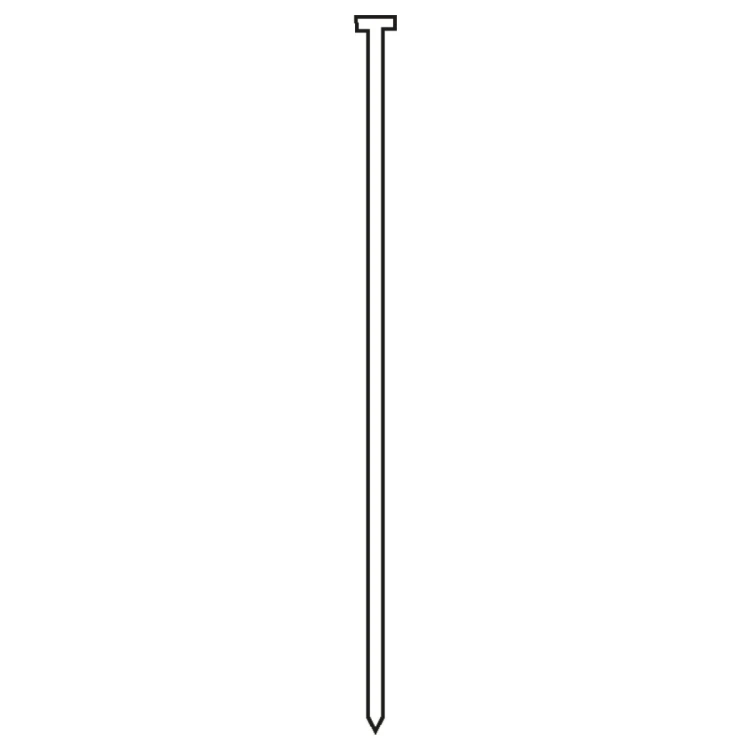 2405550_H.jpg