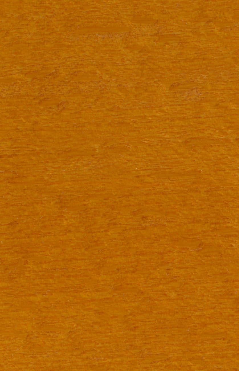 Bejca nitro SOPUR Teak 23-32 - próbka na drewnie bukowym
