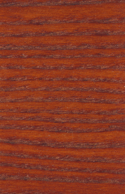 Bejca nitro SOPUR Teak 23-46 - próbka na drewnie jesionowym